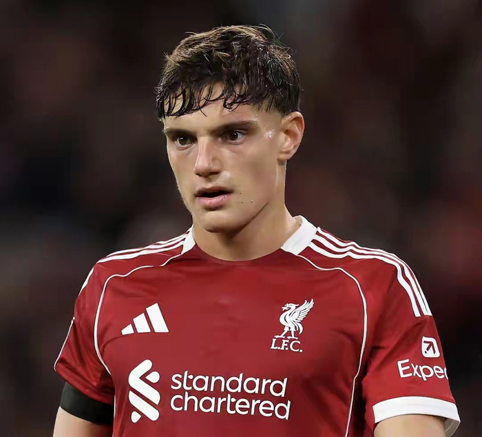 开云官网-利物浦豪赌青春遭重创,错失良将恐留后患|雅凯|后防|格伊|莱奥尼|维吉尔·范迪克_新浪体育_新浪新闻